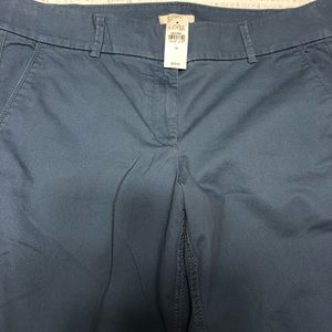 NWT: Loft Size 14 Blue Kakis